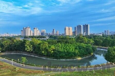 67194成人在线短视频-成人在线短视频，67194背后的社会现象与影响