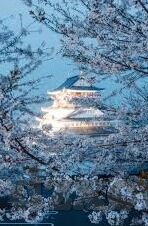91麻豆中文在线-解锁数字时代风采——91麻豆中文在线的多元价值探索