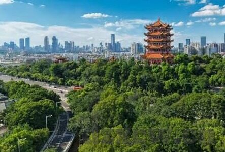 麻豆传媒md系列-探寻麻豆传媒MD系列的创新与影响