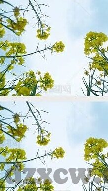 麻豆传媒综合网-聚焦麻豆传媒综合网，全视角透视新娱乐内容提供平台