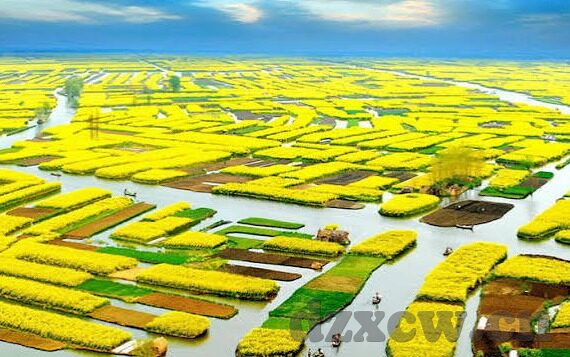 中文字幕永久在线-探索中文字幕的永恒在线，文化传播的桥梁与未来展望